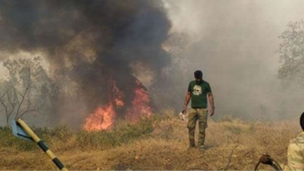 Fire disaster in Chamundi Hills: 9 acres of forest destroyed