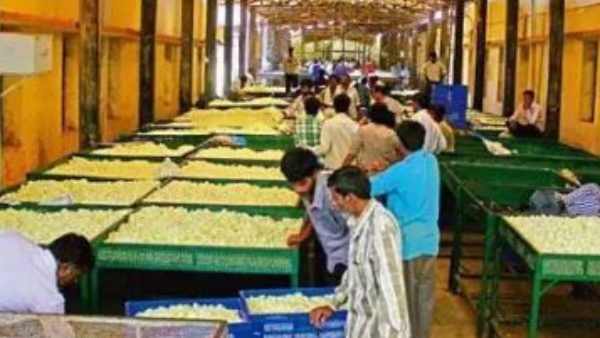 JDS Manifesto 2023: JDS What Gave For Farmers And Silk Sector, Details Iniside