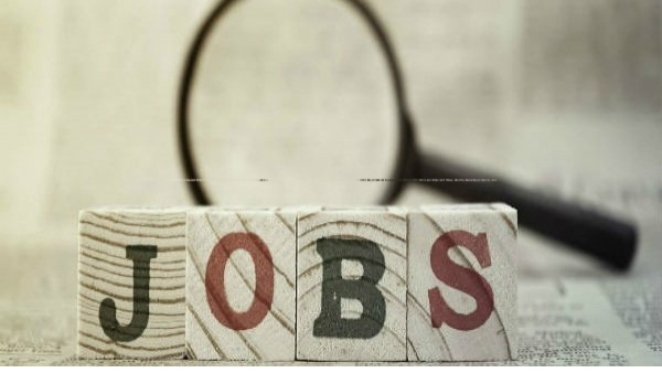 KFD Recruitment 2023: Karnataka Forest Department Invited Fulfill For 19 Posts By Eligible