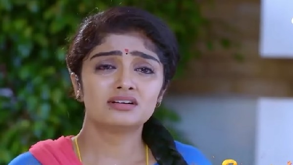 Karnataka Election 2023: Election stories in kannada tv serials