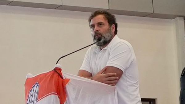 Rahul Gandhi refuses to enter temple as he had touched fish: Writer Naveen Soorinje criticizes