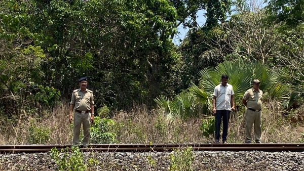 70-Year-Old Woman Adverts Train Accident By Waving Red Cloth To Alert Driver