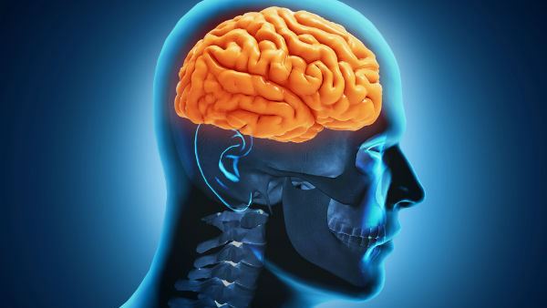 Brain eating amoeba killed a teenager