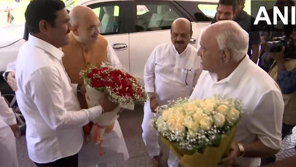 Karnataka Election: High-command Gave The Responsibility To BY Vijayendra To BJP Win In 20 Constituencies