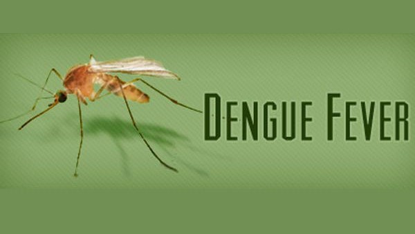 World Dengue Day On May 16th: Know Dengue Control Guidelines, Health Dept Suggestions World Dengue Day On May 16th: Know Dengue Control Guidelines, Health Dept Suggestions