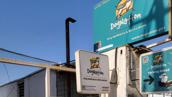 Rapid Humanization And Adoption of Pets Needs enrichment Based On Dogs wellness Recreation Center