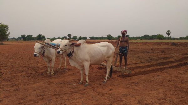 Farmers Manifesto For Karnataka Assembly Elections 2023