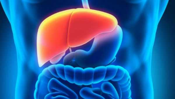 What are the foods to eat for a healthy liver? Shocking truth for alcoholics 