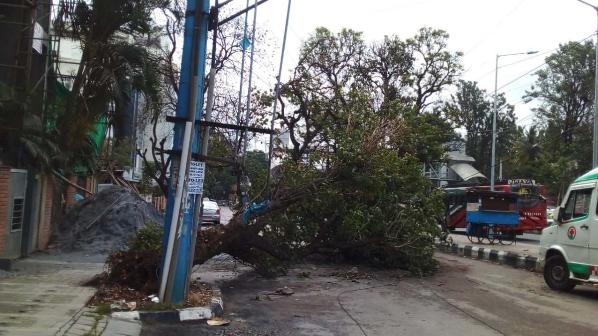 Bengaluru Rain: Recorded 58mm Rain In Last 24 Hour, Heavy Rain Expect Till May 8th For Bengaluru