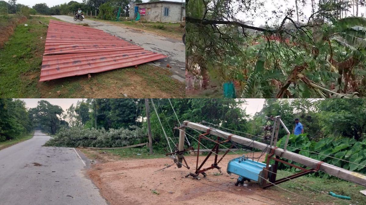 Heavy rain in many parts of Hassan district, crops destroyed, farmers worried Heavy rain in many parts of Hassan district, crops destroyed, farmers worried