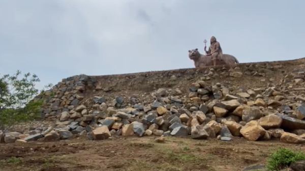 male mahadeshwarana betta