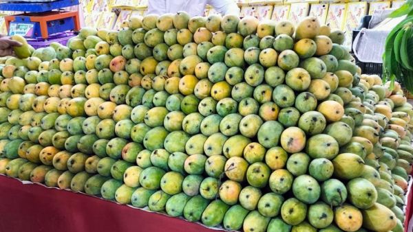 Food Safety and Standards Authority of India