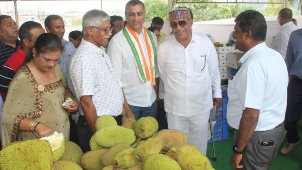 Kodagu Mango And Jack Fruit Mela 2023 Attracts Huge Crowd
