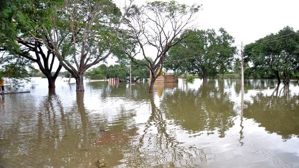Rain In Karnataka
