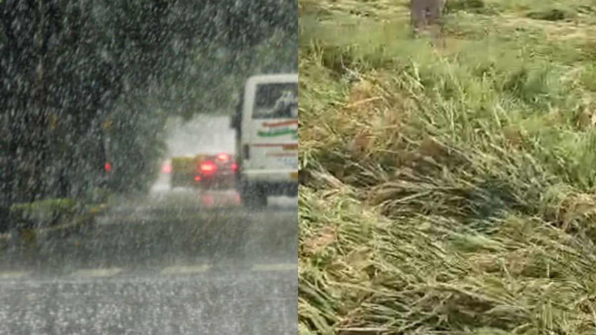 Rain in Davanagere district Rain in Davanagere district