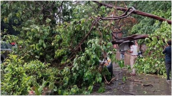 Bengaluru Rain: Heavy Rain Caused Waterlogging On The Roads