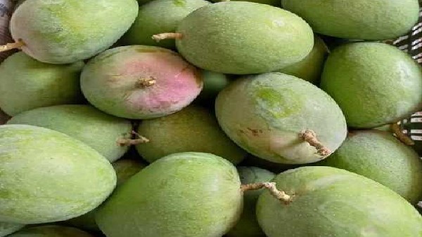 Bengaluru: Climate change breaks Bengaluru mangos global foray
