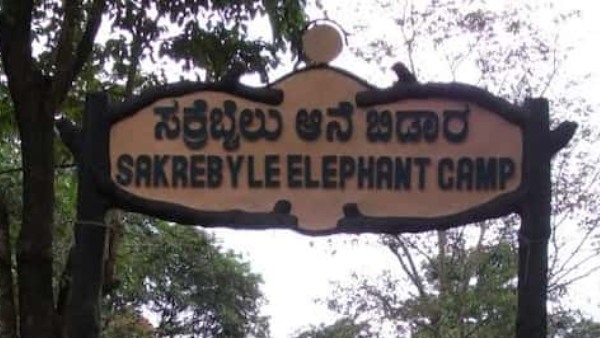 Degree Holders Attend Kavadi Interview At Sakrebyle Elephant Camp