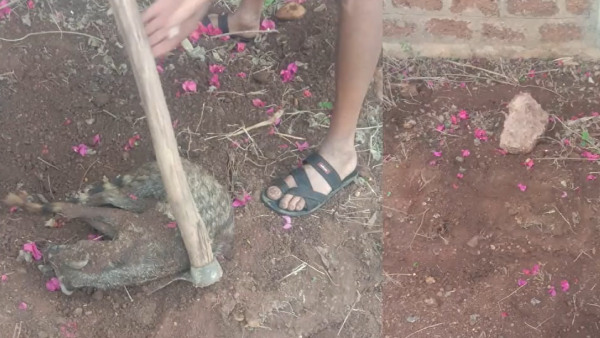 Witchcraft For BY Vijayendra Witchcraft For BY Vijayendra