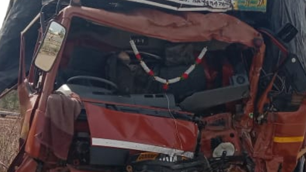 accident while illegally cattle transporting