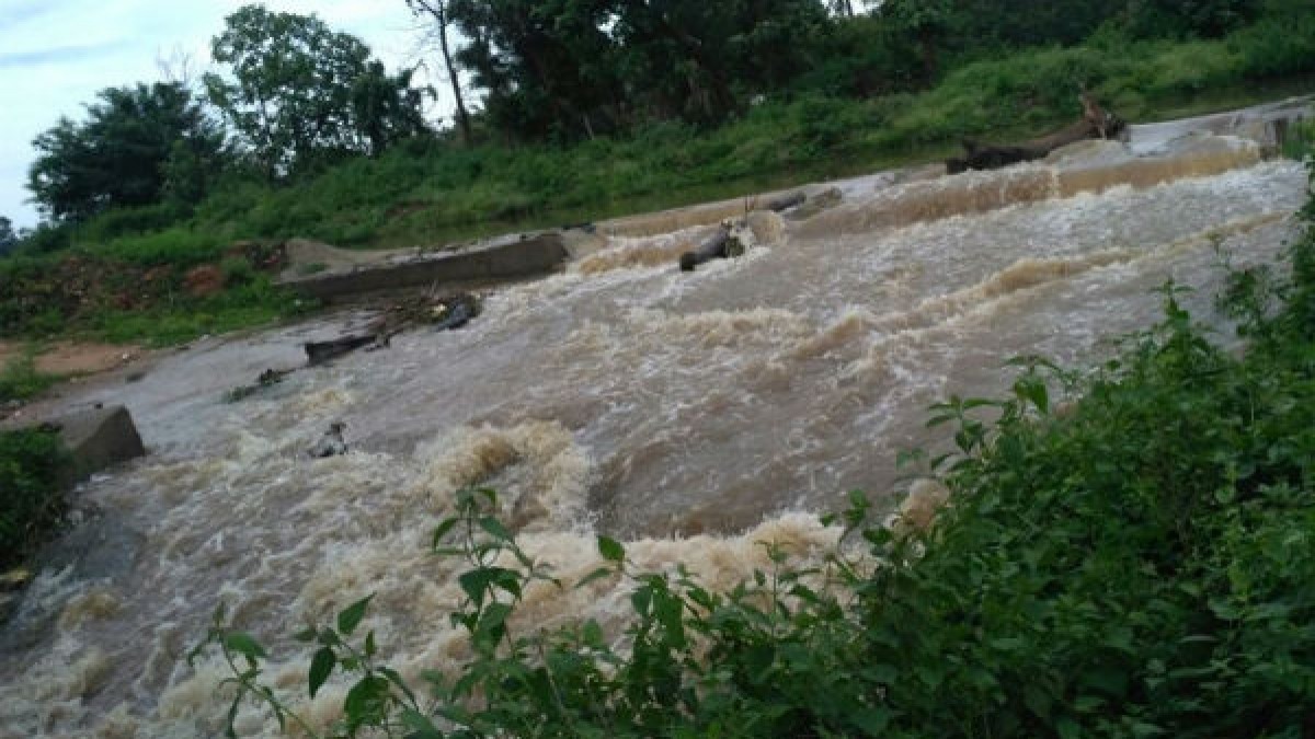 Agricultural And Horticultural crops washed out by pre monsoon rains 
