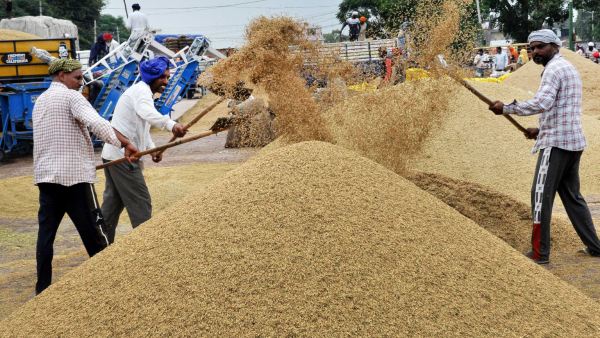 Weak Monsoon Winds: Inexpensive agricultural activities 