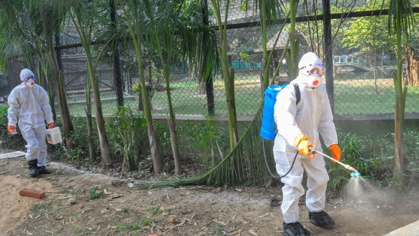 Rapidly spreading avian virus is risk of next human pandemic: Experts