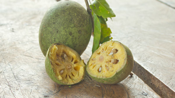 Bael Fruit Benefits and Side Effects in Kannada