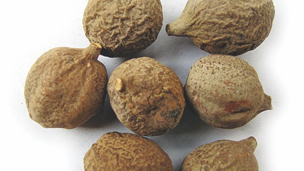 Triphala benefits in Kannada Triphala benefits in Kannada