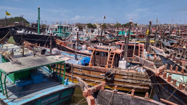 Cyclone Biparjoy: Cyclonic Storm Biparjoy Made Landfall in Gujarats Coastal Areas 
