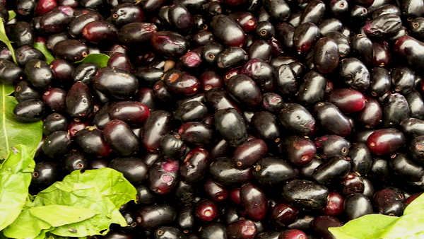 unknown health benefits of black jamun in kannada