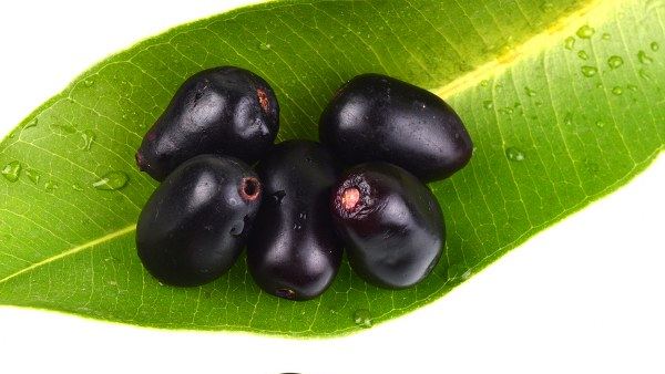 unknown health benefits of black jamun in kannada