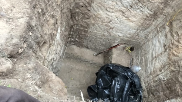 boy died after a coconuts fell on him boy died after a coconuts fell on him