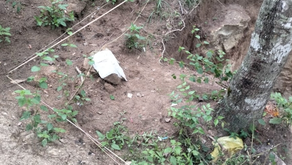 boy died after a coconuts fell on him boy died after a coconuts fell on him