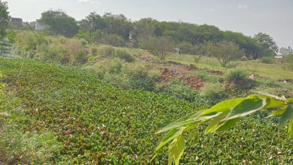Clean the rajakaluve: Demands Chikkaballapur district people 