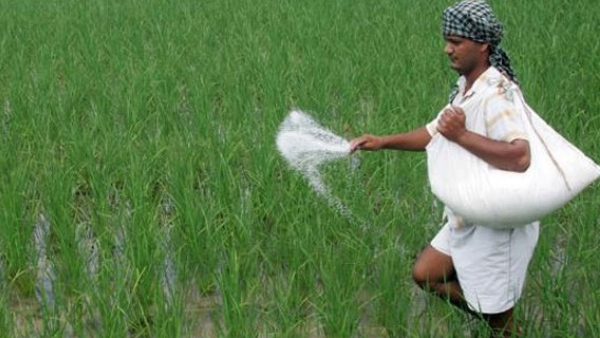 Supply suitable sowing seeds, fertilizers to farmers: Farmer leader demand in Chikkamagaluru Supply suitable sowing seeds, fertilizers to farmers: Farmer leader demand in Chikkamagaluru