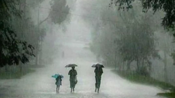 Monsoon Rain