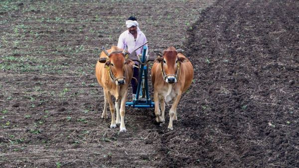 Register Name For Monsoon Season Crop Insurance
