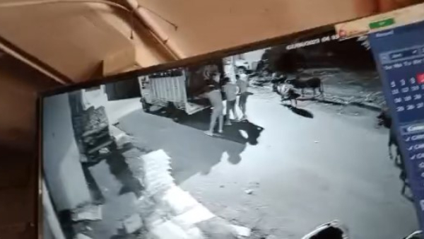 Cow Theft Accused Arrested By Hiriyur Police