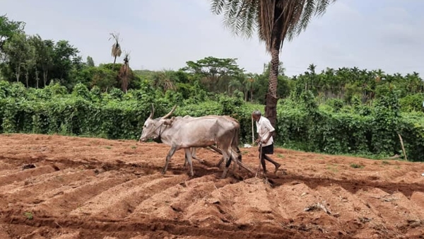 Now Farmers Can Made PM KISAN EKYC By Face Authentication Feature 