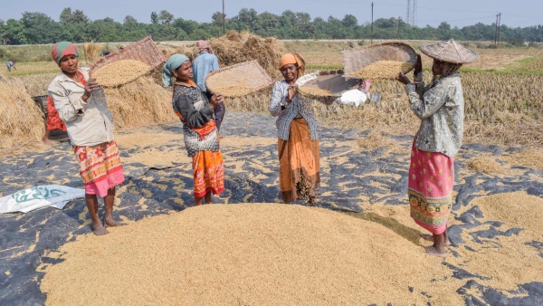 Crop Loss And Damage PMFBY Will Help Farmers