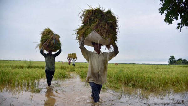 Fear rises in Karnataka farmers over monsoon delay