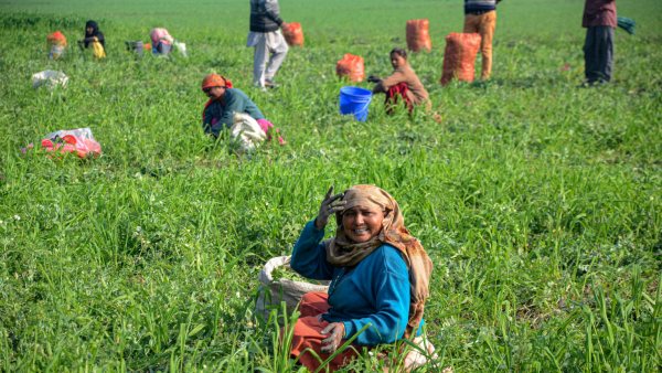 Fear rises in Karnataka farmers over monsoon delay