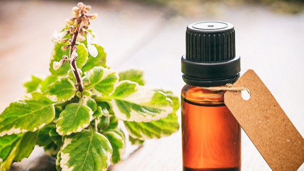 Fusion of fragrance with your life - here are the effects and benefits