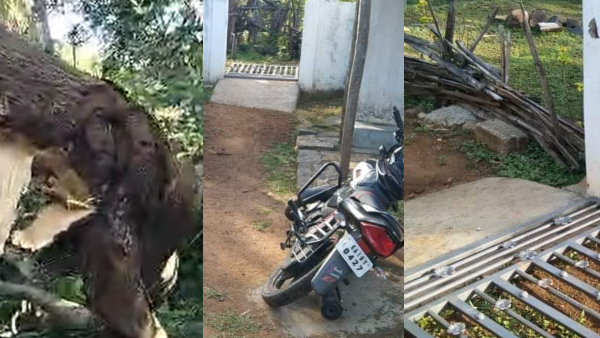 Wild Elephant destroyed bike, tree, house gate in Maruru village, Hanur taluk