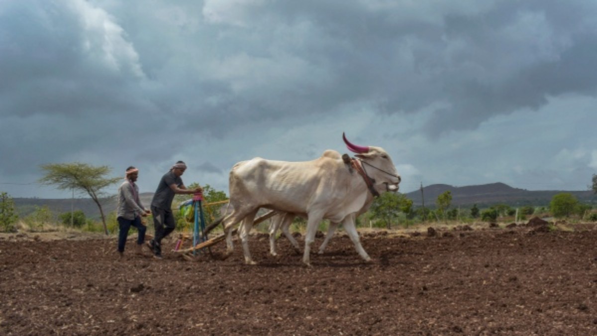 Rainfall Forecast Across Karnataka: Coastal Areas to Receive Moderate Rains