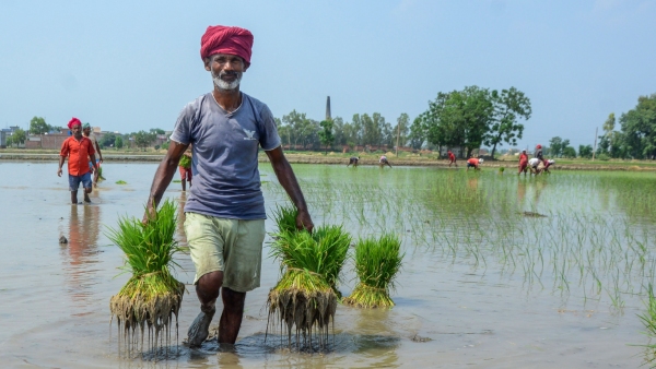  Karnataka Rain information by IMD