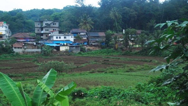 Monsoon rain