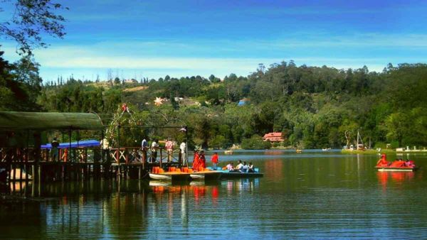 This is the perfect time to visit Kodaikanal: Flowers that welcome visitors