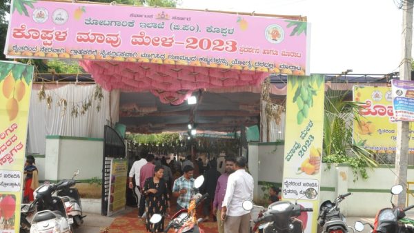 Koppal Mango Mela 2023 More Than One Crore Business 